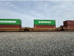 DTTX 729041